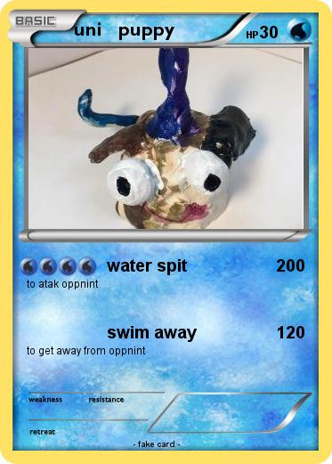 Pokemon uni   puppy