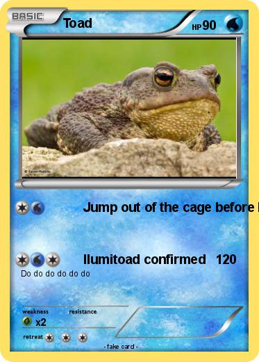 Pokemon Toad