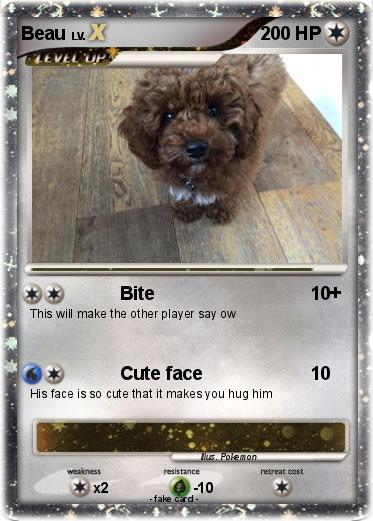 Pokemon Beau