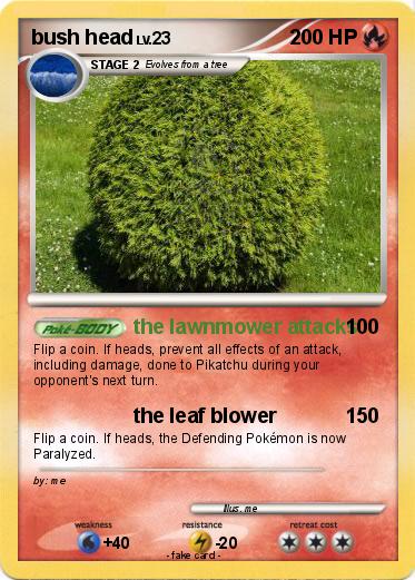 Pokemon bush head