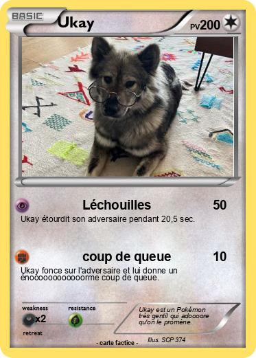 Pokemon Ukay