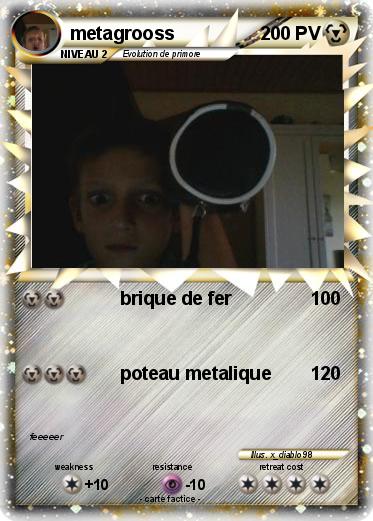 Pokemon metagrooss