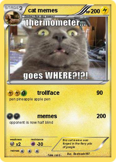 Pokemon cat memes