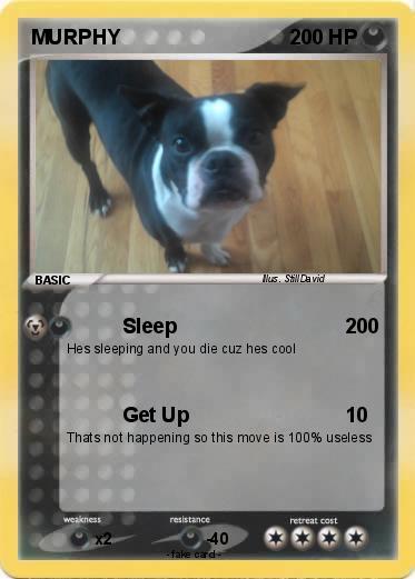 Pokemon MURPHY