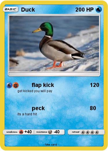 Pokemon Duck