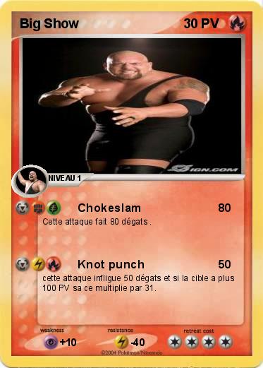 Pokemon Big Show