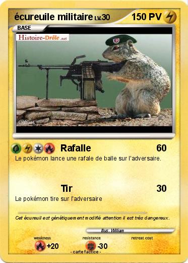 Pokemon écureuile militaire