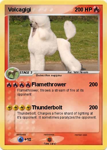 Pokemon Volcagigi