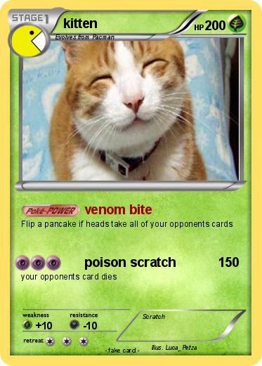 Pokemon kitten