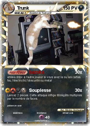 Pokemon Trunk