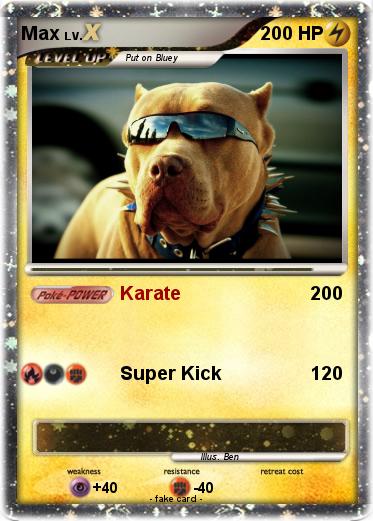 Pokemon Max