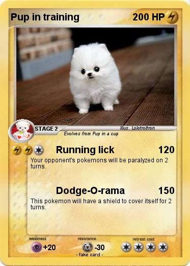 Pokemon Pup in training