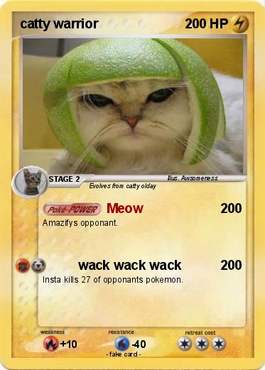 Pokemon catty warrior