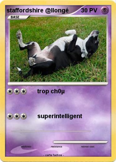 Pokemon staffordshire @llongé
