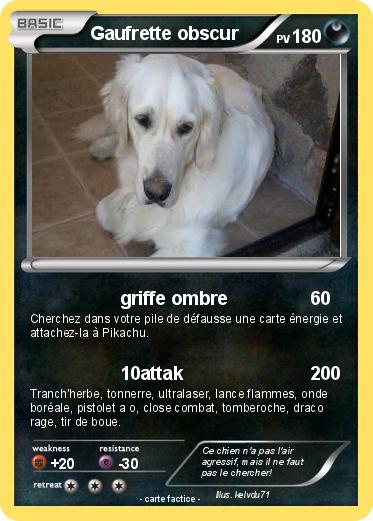 Pokemon Gaufrette obscur