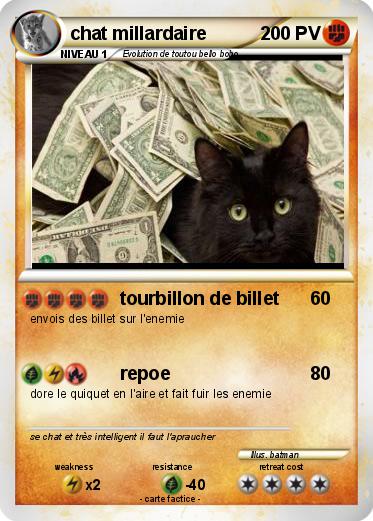 Pokemon chat millardaire