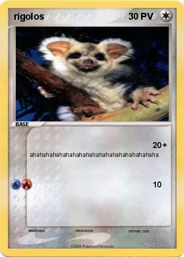 Pokemon rigolos