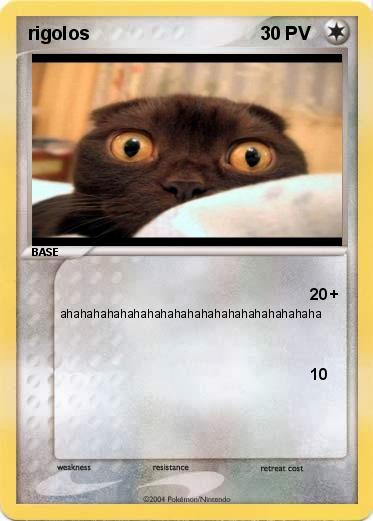 Pokemon rigolos