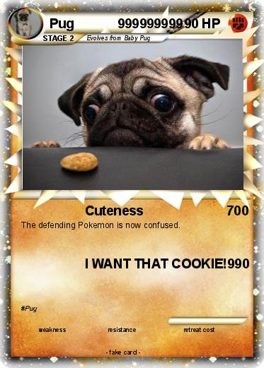 Pokemon Pug            999999999