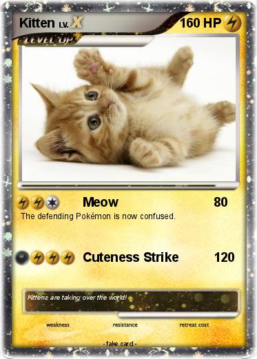 Pokemon Kitten