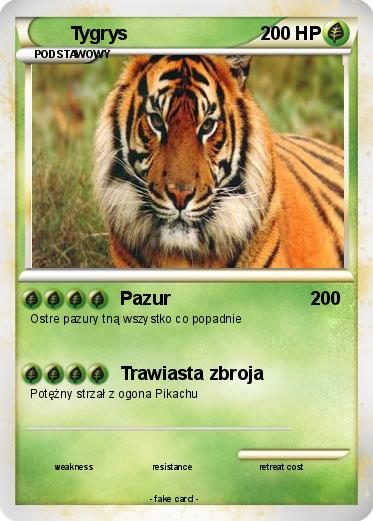 Pokemon Tygrys