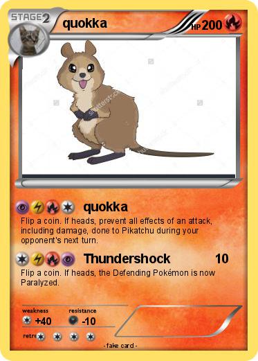 Pokemon quokka