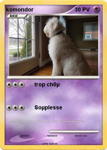 Pokemon komondor