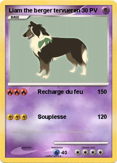 Pokemon Liam the berger tervueren