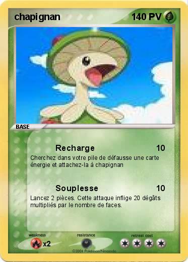Pokemon chapignan