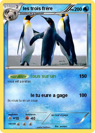 Pokemon les trois frére
