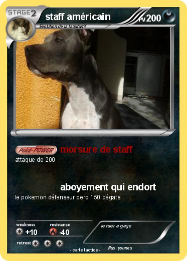 Pokemon staff américain