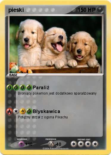 Pokemon pieski