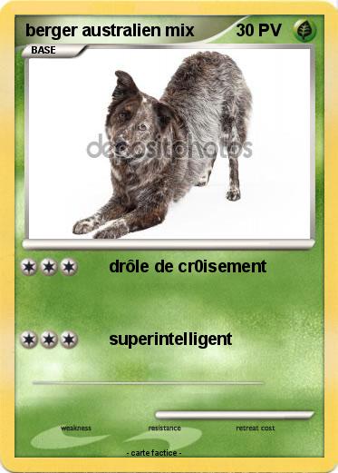 Pokemon berger australien mix