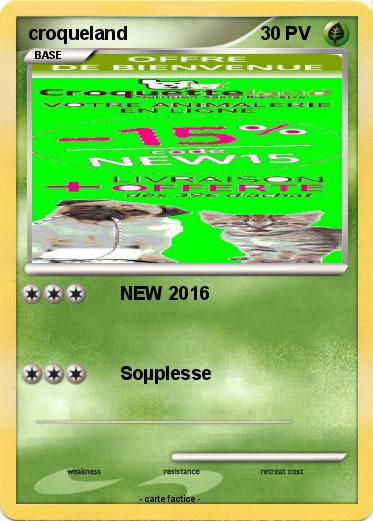 Pokemon croqueland