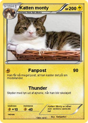 Pokemon Katten monty