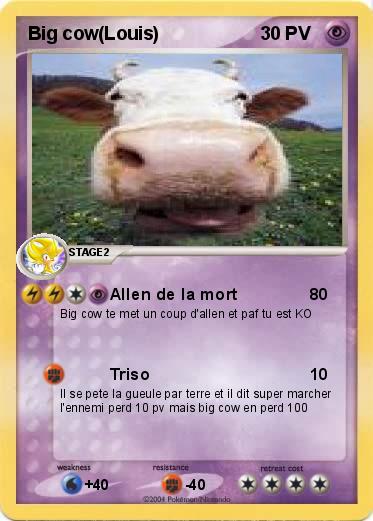 Pokemon Big cow(Louis)