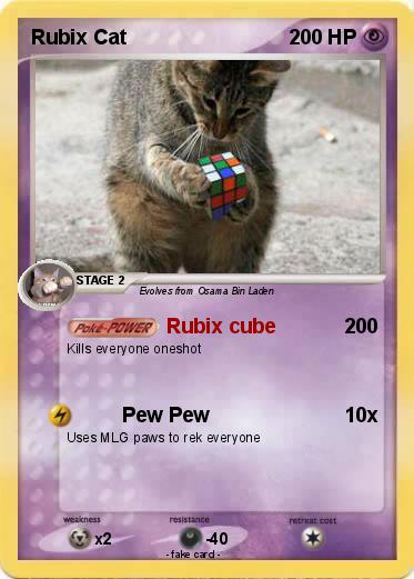 Pokemon Rubix Cat