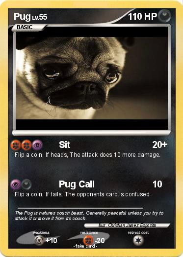 Pokemon Pug