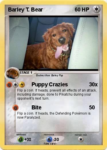 Pokemon Barley T. Bear