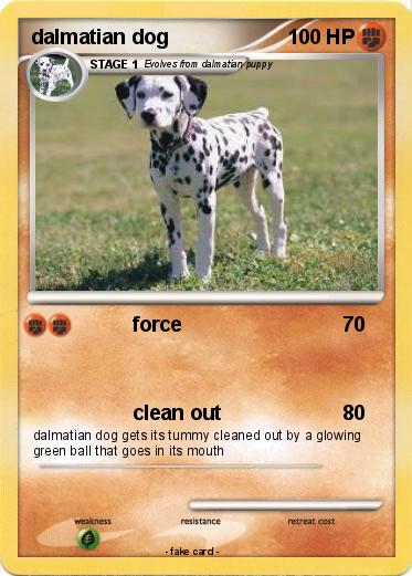 Pokemon dalmatian dog