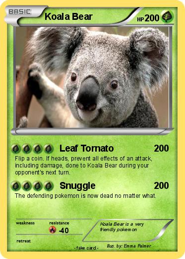 Pokemon Koala Bear