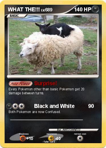 Pokemon WHAT THE!!!