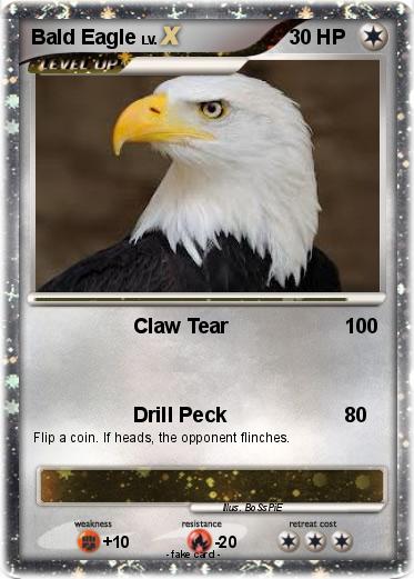 Pokemon Bald Eagle