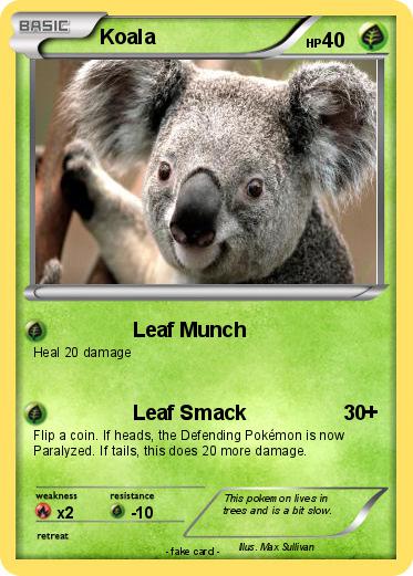 Pokemon Koala