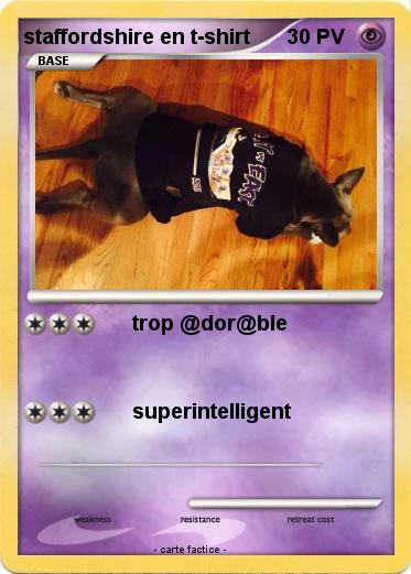 Pokemon staffordshire en t-shirt