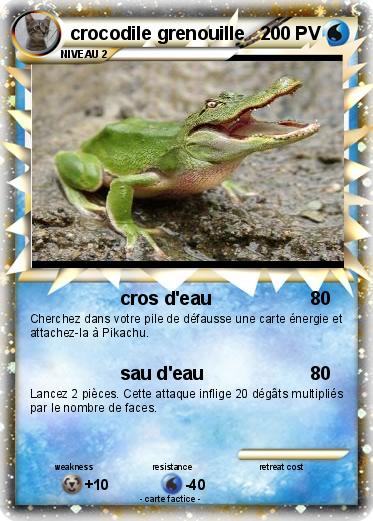 Pokemon crocodile grenouille