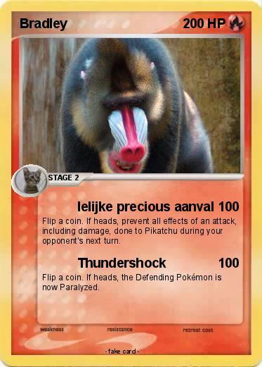 Pokemon Bradley