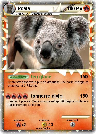 Pokemon koala
