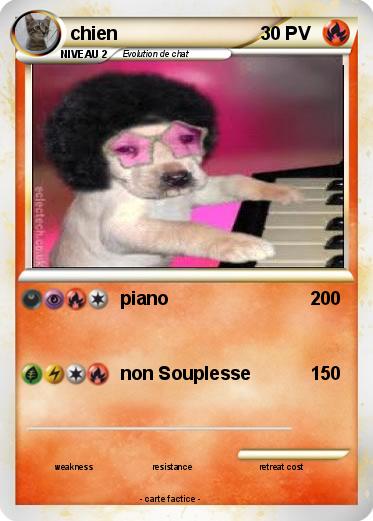 Pokemon chien