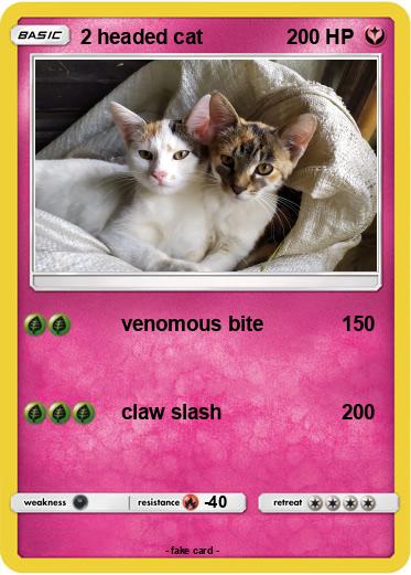 Pokemon 2 headed cat
